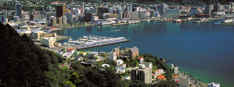 nz